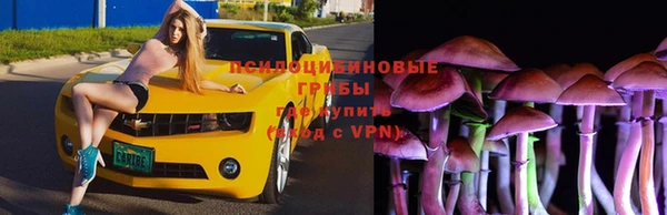 амф Пестово