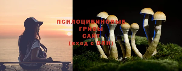 ГАЛЛЮЦИНОГЕННЫЕ ГРИБЫ Александровское