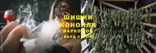 амф Пестово