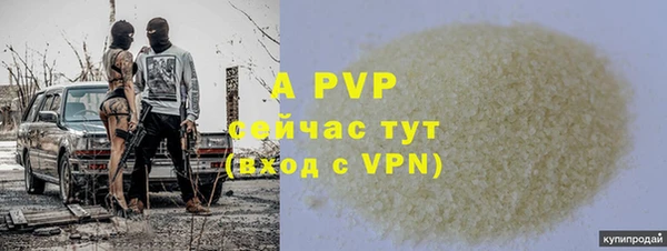 амф Пестово