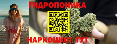ПСИЛОЦИБИНОВЫЕ ГРИБЫ Ставрополь