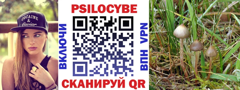 Галлюциногенные грибы Magic Shrooms  сайты даркнета Telegram  Сальск  закладка 