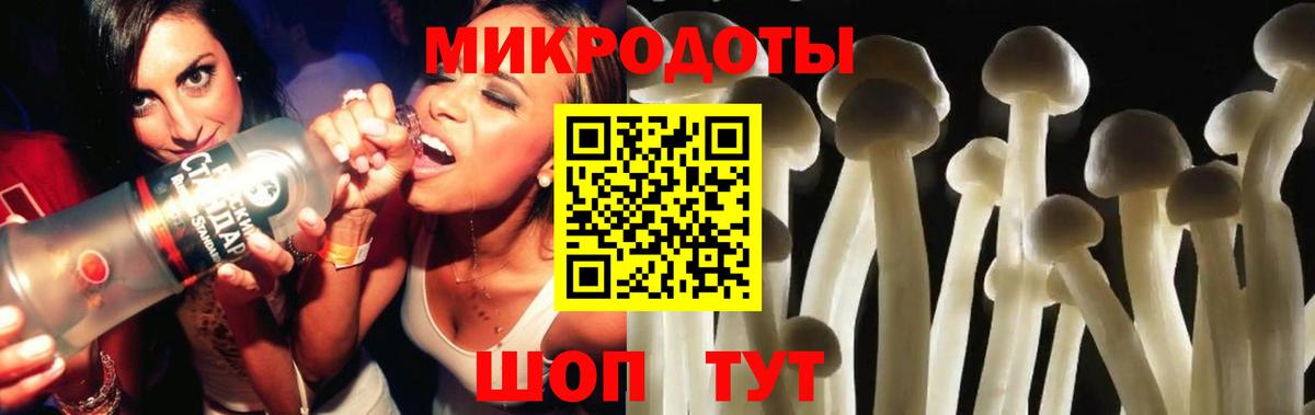 Псилоцибиновые грибы Psilocybe  Галлюциногенные грибы MAGIC MUSHROOMS  Вход с VPN  Сальск 